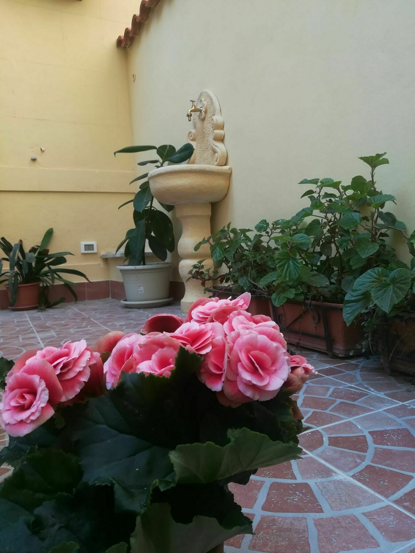 Hotel Le Rose Del Viale Palermo Zewnętrze zdjęcie