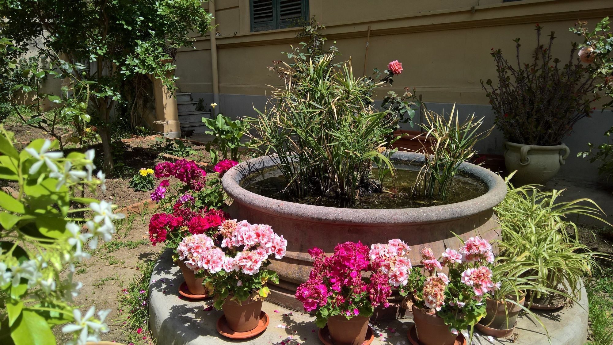 Hotel Le Rose Del Viale Palermo Zewnętrze zdjęcie